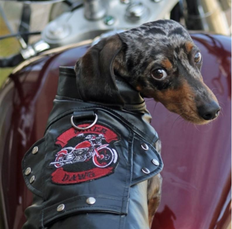 Custom Dog Motorcycle Jacket - Image 3