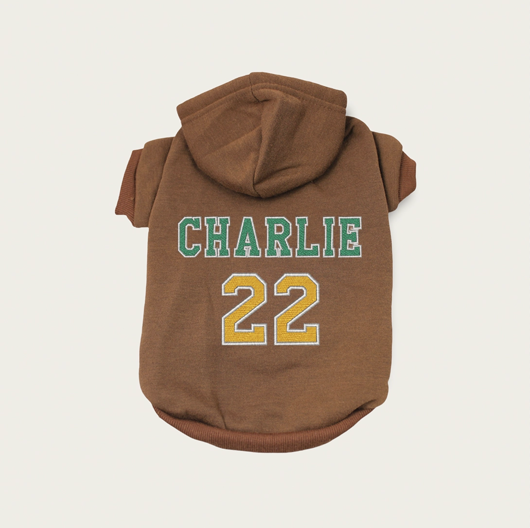 Embroidered Sports Hoodie